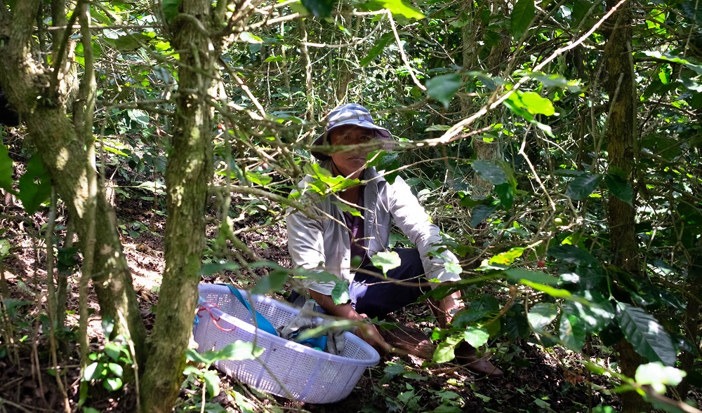 Pracovnik na prestavce